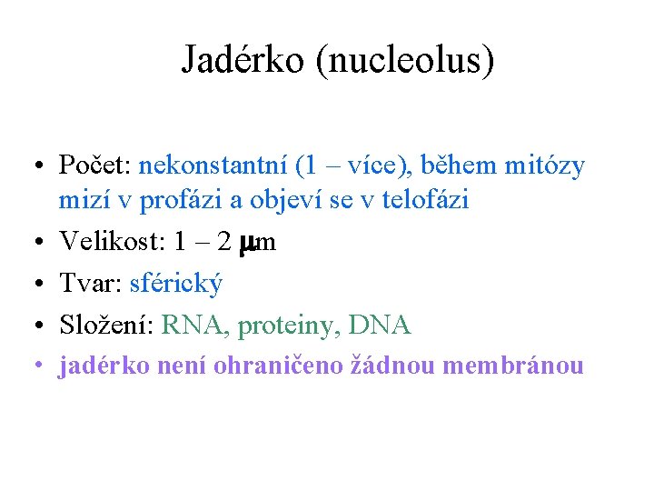 Jadérko (nucleolus) • Počet: nekonstantní (1 – více), během mitózy mizí v profázi a