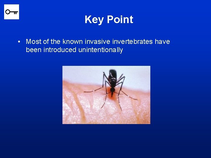 Key Point • Most of the known invasive invertebrates have been introduced unintentionally 