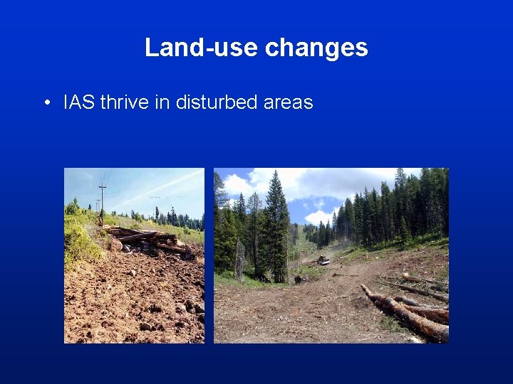 Land-use changes • IAS thrive in disturbed areas 