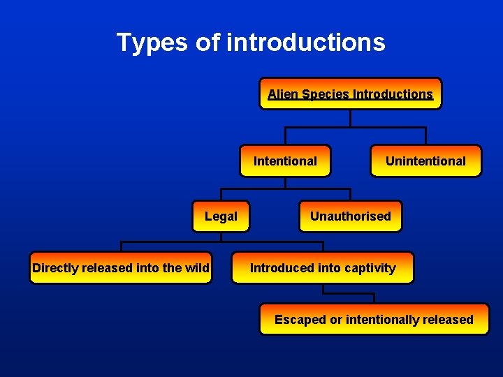 Types of introductions Alien Species Introductions Intentional Legal Directly released into the wild Unintentional