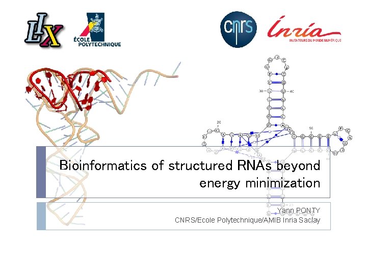 Bioinformatics of structured RNAs beyond energy minimization Yann PONTY CNRS/Ecole Polytechnique/AMIB Inria Saclay 