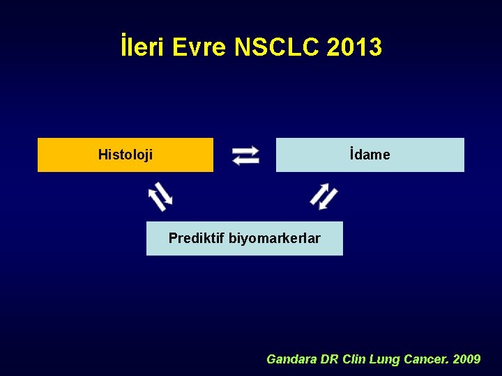 İleri Evre NSCLC 2013 Histoloji İdame Prediktif biyomarkerlar Gandara DR Clin Lung Cancer. 2009