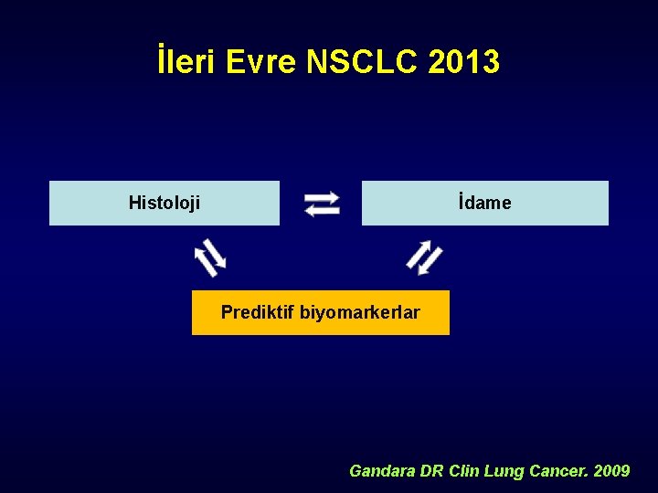 İleri Evre NSCLC 2013 Histoloji İdame Prediktif biyomarkerlar Gandara DR Clin Lung Cancer. 2009