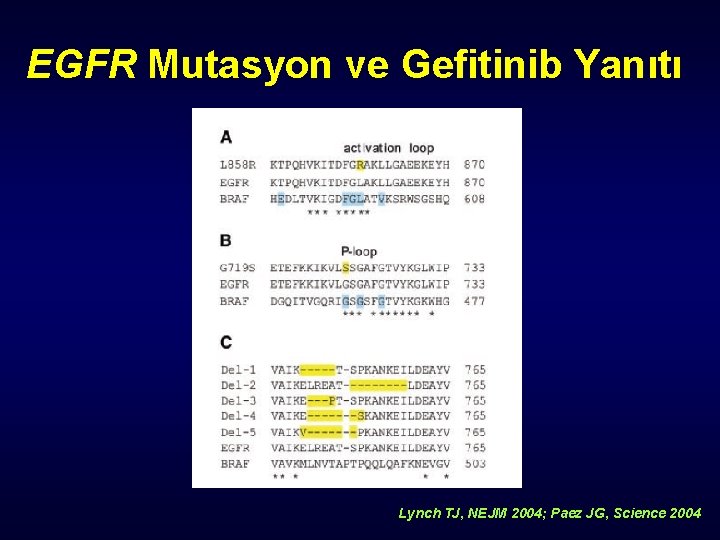 EGFR Mutasyon ve Gefitinib Yanıtı Lynch TJ, NEJM 2004; Paez JG, Science 2004 