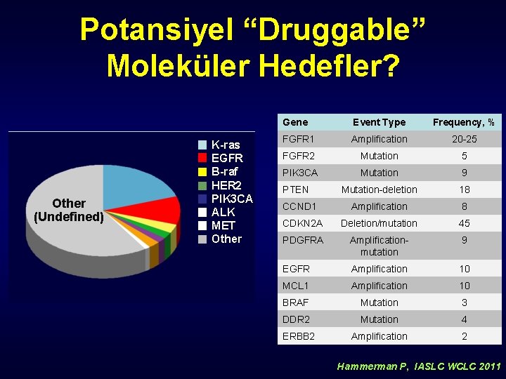 Potansiyel “Druggable” Moleküler Hedefler? Other (Undefined) K-ras EGFR B-raf HER 2 PIK 3 CA