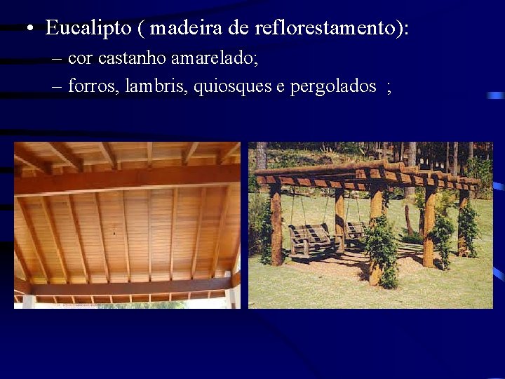  • Eucalipto ( madeira de reflorestamento): – cor castanho amarelado; – forros, lambris,