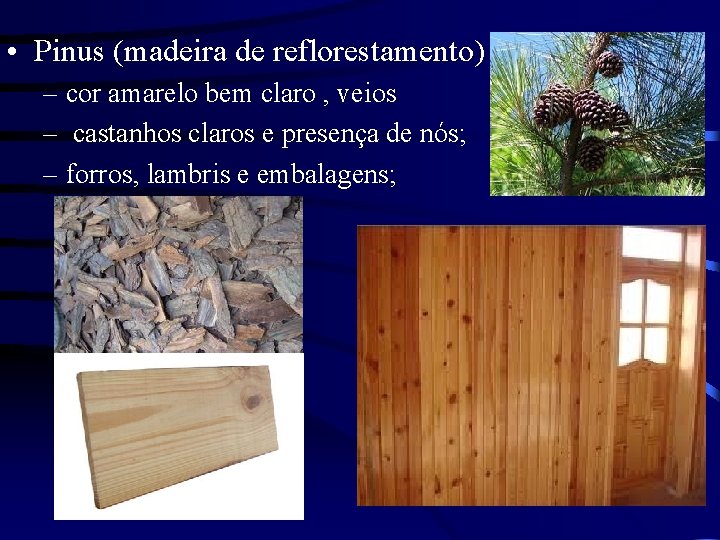  • Pinus (madeira de reflorestamento) – cor amarelo bem claro , veios –