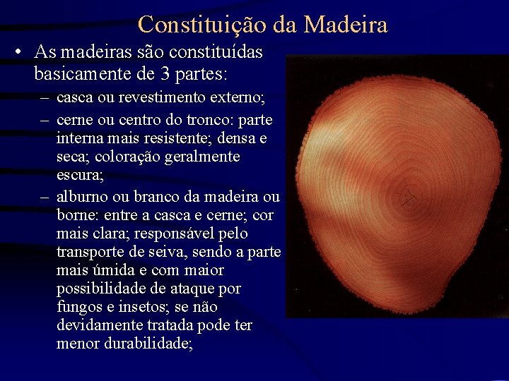 Constituição da Madeira • As madeiras são constituídas basicamente de 3 partes: – casca