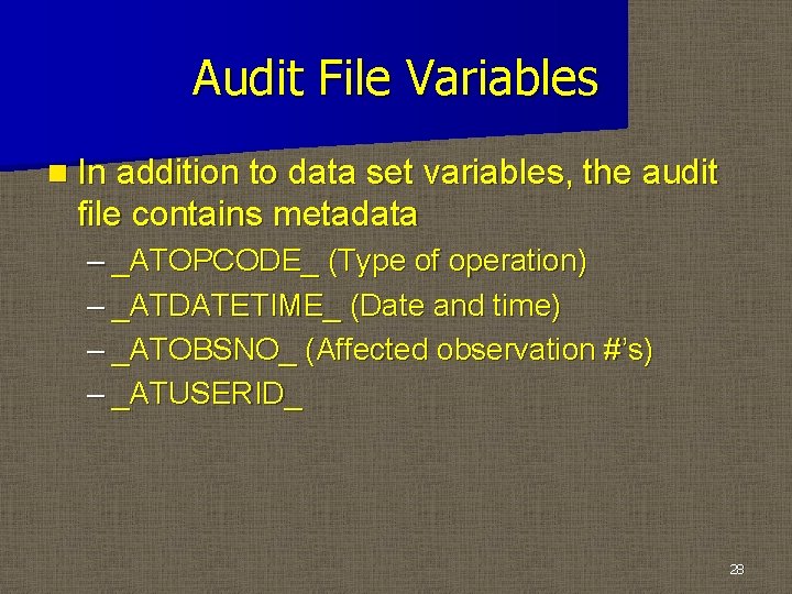 Audit File Variables n In addition to data set variables, the audit file contains