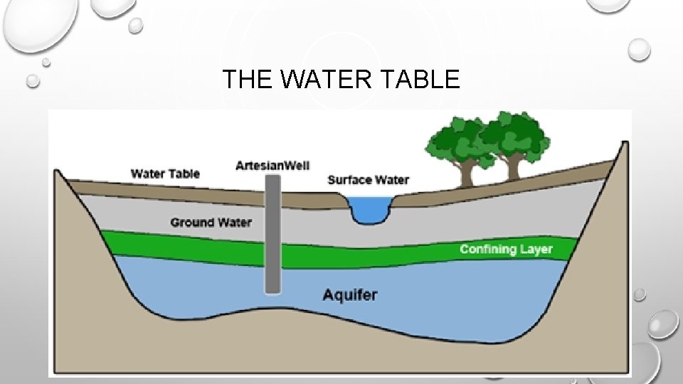 THE WATER TABLE THE WATER TABLE