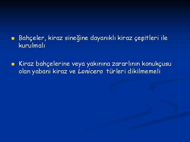 n n Bahçeler, kiraz sineğine dayanıklı kiraz çeşitleri ile kurulmalı Kiraz bahçelerine veya yakınına