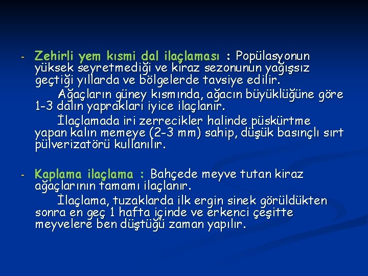 - Zehirli yem kısmi dal ilaçlaması : Popülasyonun yüksek seyretmediği ve kiraz sezonunun yağışsız