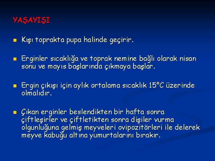 YAŞAYIŞI n n Kışı toprakta pupa halinde geçirir. Erginler sıcaklığa ve toprak nemine bağlı