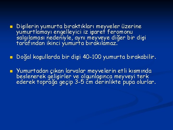 n n n Dişilerin yumurta bıraktıkları meyveler üzerine yumurtlamayı engelleyici iz işaret feromonu salgılaması