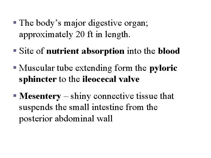 Small Intestine § The body’s major digestive organ; approximately 20 ft in length. §