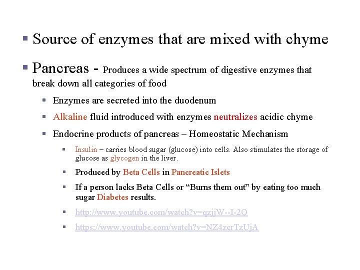 Chemical Digestion in the Small Intestine § Source of enzymes that are mixed with