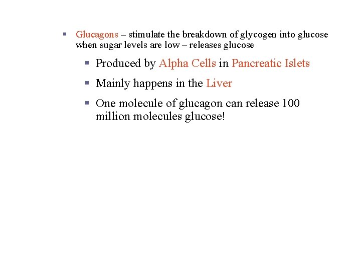 Chemical Digestion in the Small Intestine § Glucagons – stimulate the breakdown of glycogen