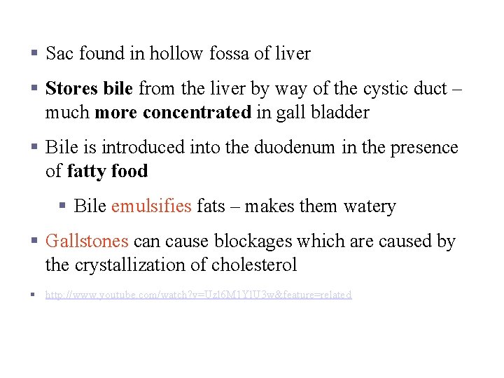 Gall Bladder § Sac found in hollow fossa of liver § Stores bile from