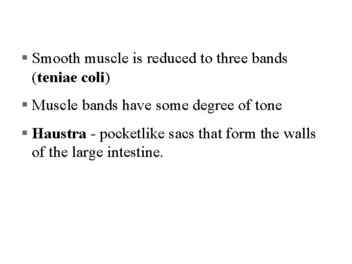 Modifications to the Muscularis Externa in the Large Intestine § Smooth muscle is reduced