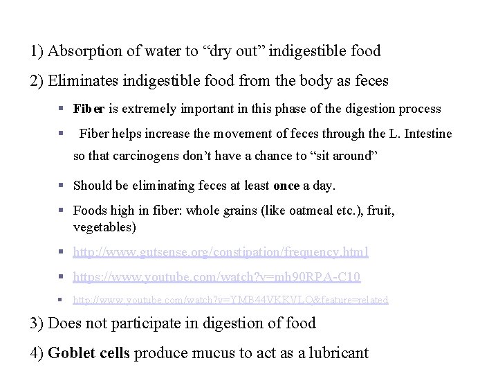 Functions of the Large Intestine 1) Absorption of water to “dry out” indigestible food