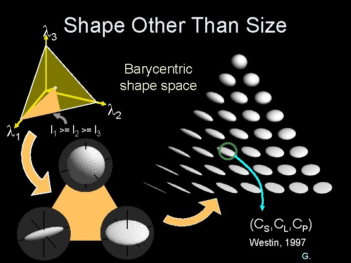  3 Shape Other Than Size Barycentric shape space 1 2 l 1 >=