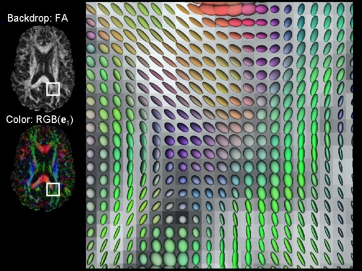 Backdrop: FA Color: RGB(e 1) 