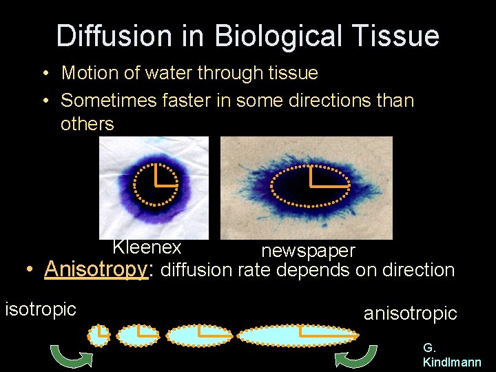 Diffusion in Biological Tissue • Motion of water through tissue • Sometimes faster in