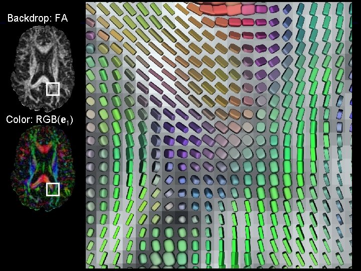 Backdrop: FA Color: RGB(e 1) 