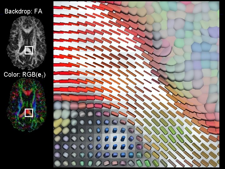 Backdrop: FA Color: RGB(e 1) 