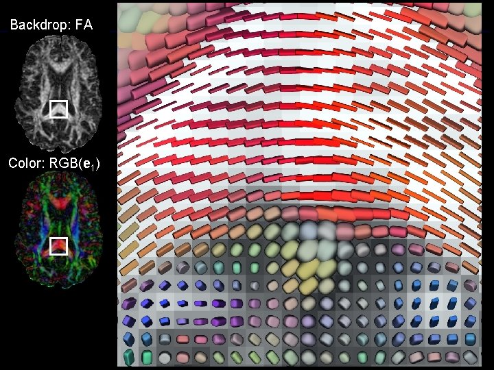 Backdrop: FA Color: RGB(e 1) 