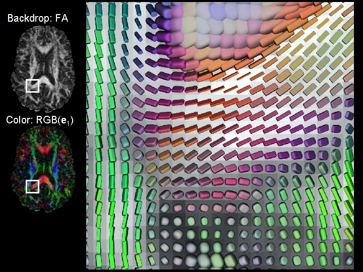 Backdrop: FA Color: RGB(e 1) 