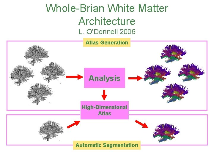 Whole-Brian White Matter Architecture L. O’Donnell 2006 Atlas Generation Analysis High-Dimensional Saved structure information