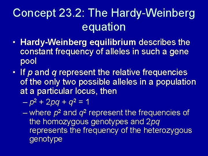 Concept 23. 2: The Hardy-Weinberg equation • Hardy-Weinberg equilibrium describes the constant frequency of