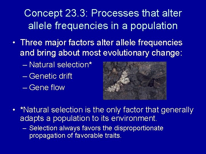 Concept 23. 3: Processes that alter allele frequencies in a population • Three major
