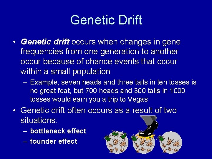 Genetic Drift • Genetic drift occurs when changes in gene frequencies from one generation