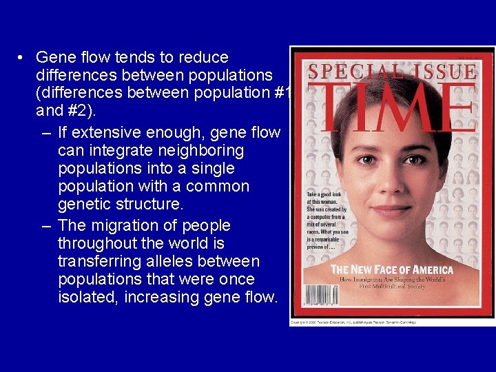  • Gene flow tends to reduce differences between populations (differences between population #1