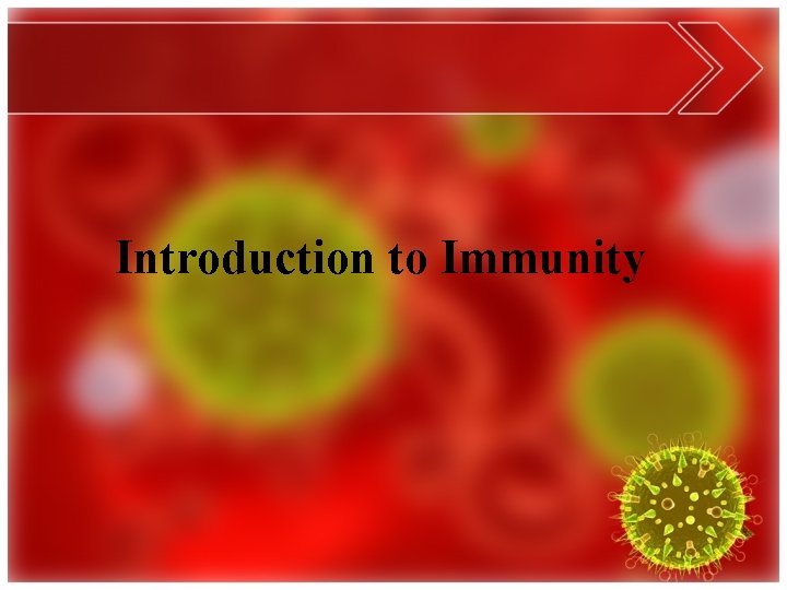 Introduction to Immunity 