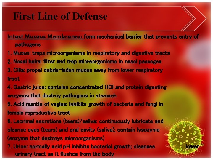 First Line of Defense Intact Mucous Membranes: form mechanical barrier that prevents entry of