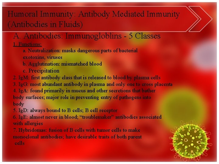 Humoral Immunity: Antibody Mediated Immunity (Antibodies in Fluids) A. Antibodies: Immunogloblins - 5 Classes
