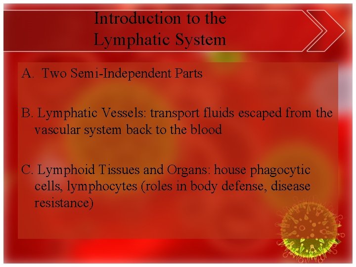 Introduction to the Lymphatic System A. Two Semi-Independent Parts B. Lymphatic Vessels: transport fluids
