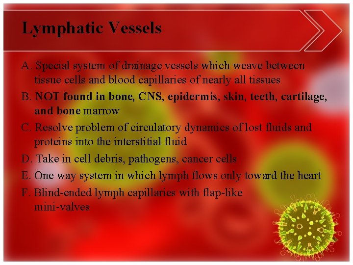 Lymphatic Vessels A. Special system of drainage vessels which weave between tissue cells and