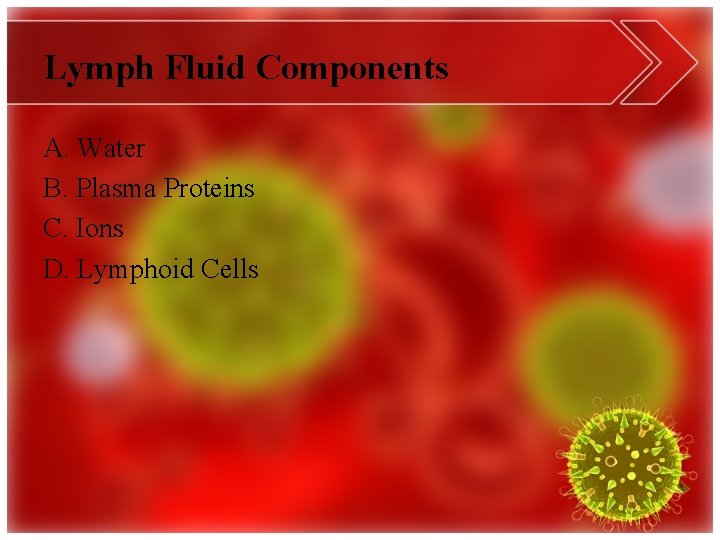 Lymph Fluid Components A. Water B. Plasma Proteins C. Ions D. Lymphoid Cells 