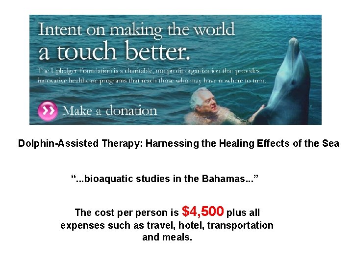 Dolphin-Assisted Therapy: Harnessing the Healing Effects of the Sea “. . . bioaquatic studies