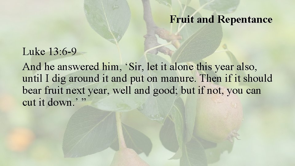 Fruit and Repentance Luke 13: 6 -9 And he answered him, ‘Sir, let it