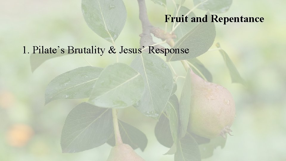 Fruit and Repentance 1. Pilate’s Brutality & Jesus’ Response 