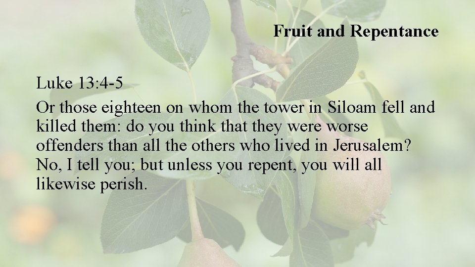 Fruit and Repentance Luke 13: 4 -5 Or those eighteen on whom the tower