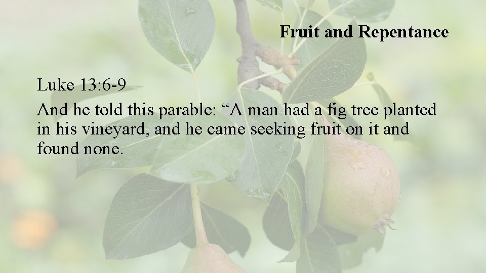 Fruit and Repentance Luke 13: 6 -9 And he told this parable: “A man