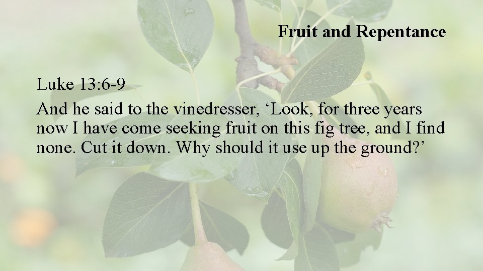 Fruit and Repentance Luke 13: 6 -9 And he said to the vinedresser, ‘Look,