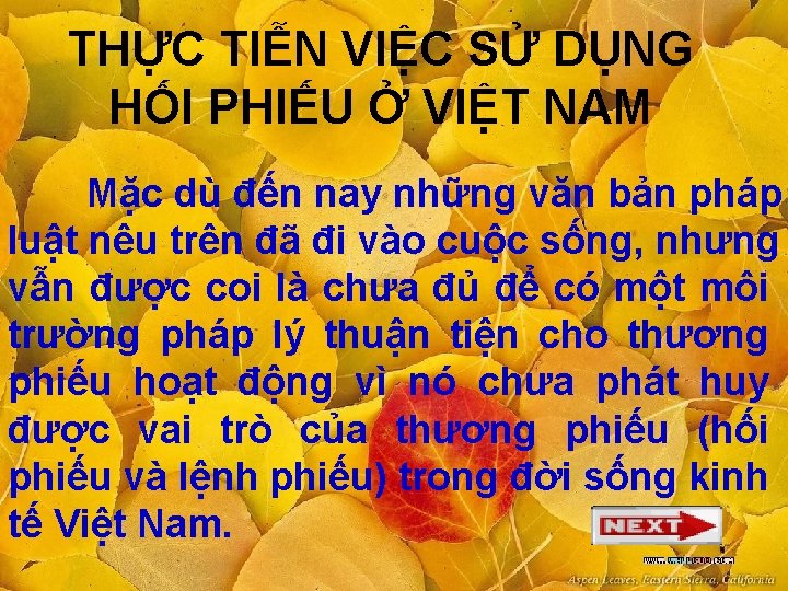 THỰC TIỄN VIỆC SỬ DỤNG HỐI PHIẾU Ở VIỆT NAM Mặc dù đến nay