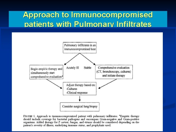 Approach to Immunocompromised patients with Pulmonary Infiltrates 